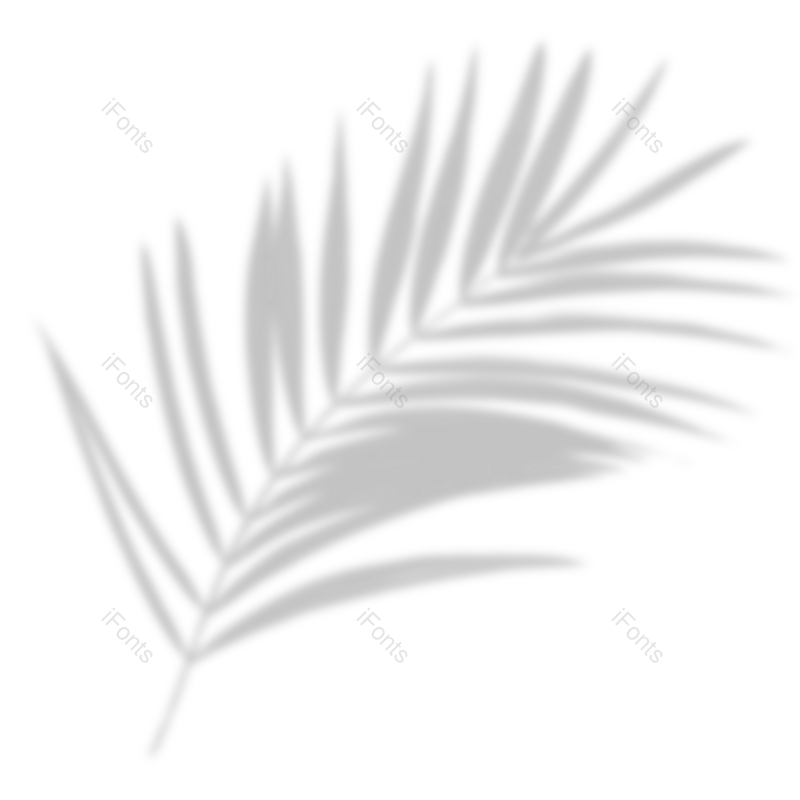 叶子图片,树叶元素,渐变PNG,阴影免抠素材